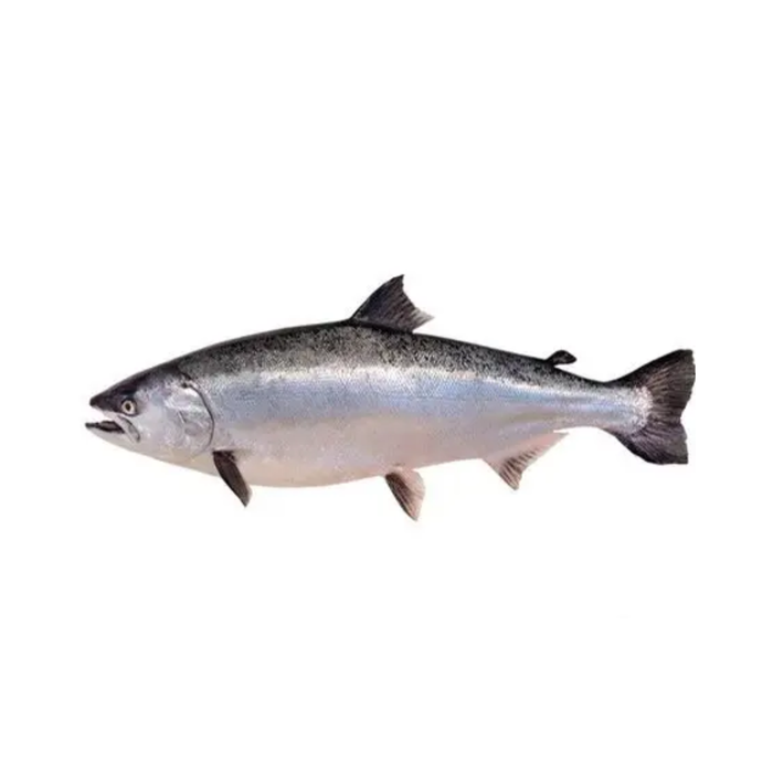 (1) Whole NZ king Salmon VP,  average 1.8- 2.2 kg each, price per kg