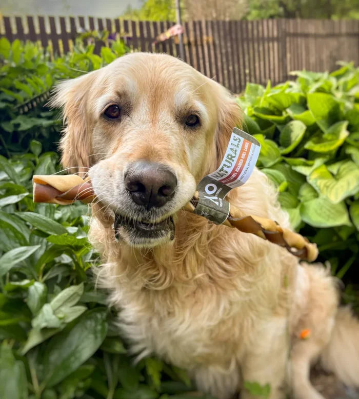 Anco Naturals Beef & Camel Braided Roll Dog Chew