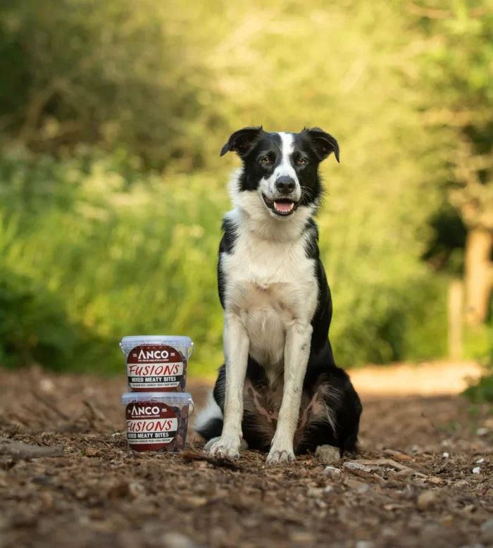 Anco Naturals Mixed Meaty Bites Dog Treats