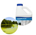 Applied Biochemists Cutrine® Plus Algaecide and Herbicide