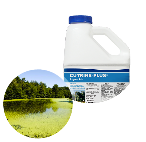 Applied Biochemists Cutrine® Plus Algaecide and Herbicide
