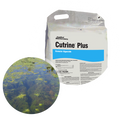 Applied Biochemists Cutrine® Plus Granular Algaecide