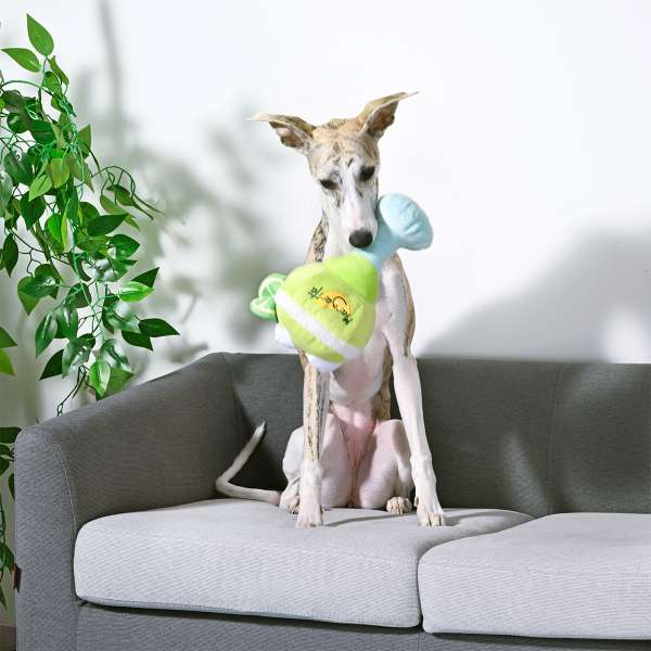 Beach Daze – Margarita Dog Toy