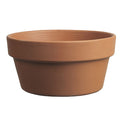 Border Concepts Italian Bulb Pan Terracotta