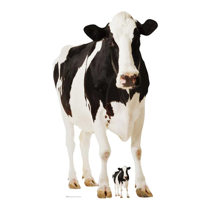 Cow Cardboard Cutout - 1.6m