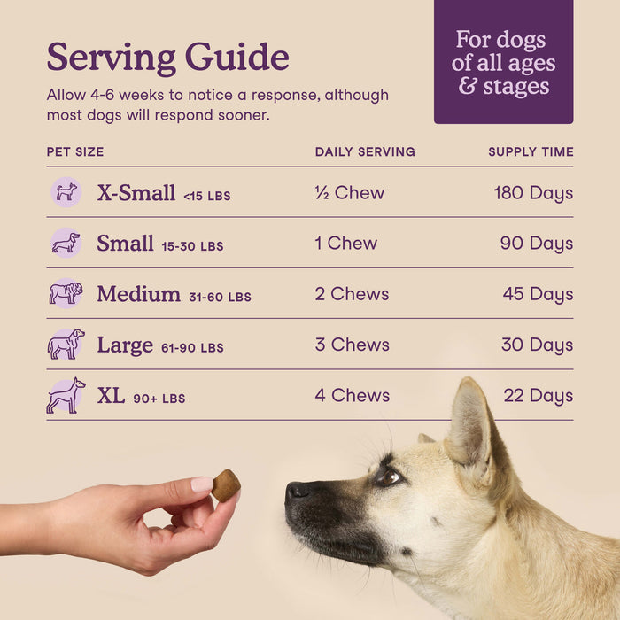 Fera Pets- Calming Soft Chew Dog Supplement