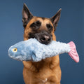 Fluff & Tuff Fitz Fish Plush Dog Toy