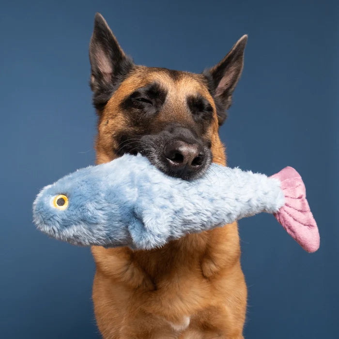 Fluff & Tuff Fitz Fish Plush Dog Toy