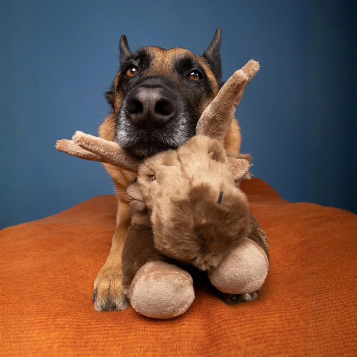 Fluff & Tuff Trax Moose Plush Dog Toy