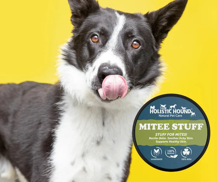 Holistic Hound Mite-ee Stuff