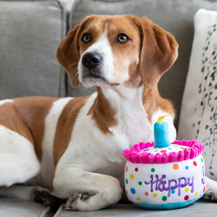 Huxley & Kent Happy Barkday Toy