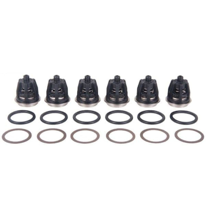 Interpump Valve Kit | Kit 201