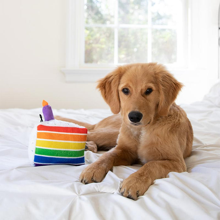 LuluBelles Birthday Dog Toy