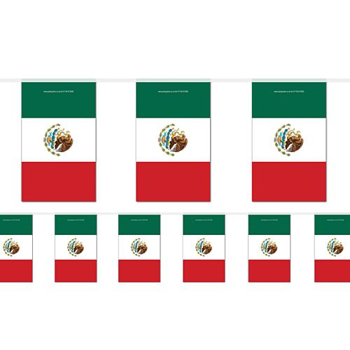 A string of triangular bunting flags with the colors and Mexican flag design, including the national emblem.
