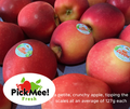 NZ Fresh Apple "PickMee" (Rockit Apples) 17.5kg, small size, average 137-140 apples per carton