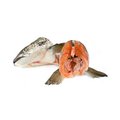 NZ King Salmon Heads 15kg Carton