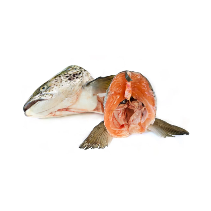 NZ King Salmon Heads 15kg Carton