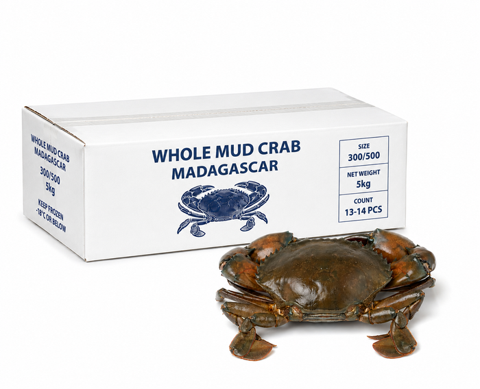 SM Whole Mud Crab Madagascar (300/500) 5kg