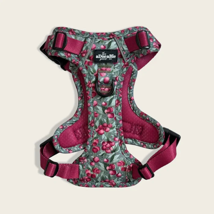 The Adorable Pooch Company- Hike & Go™ Harness - Crab Apple Cottage