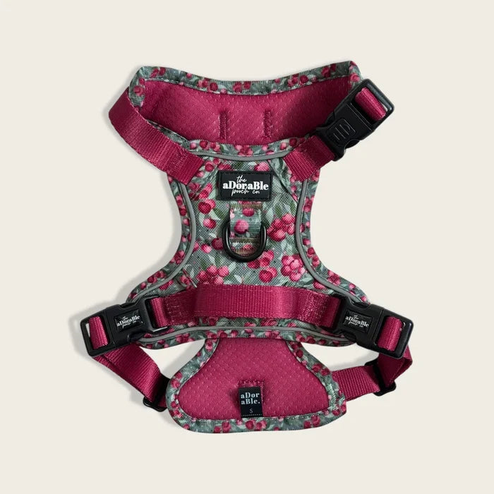 The Adorable Pooch Company- Hike & Go™ Harness - Crab Apple Cottage