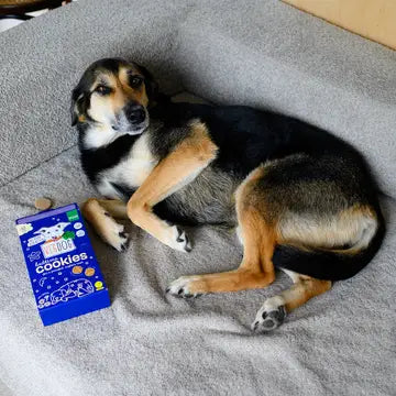 Vegdog Bedtime Cookies Dog Treats