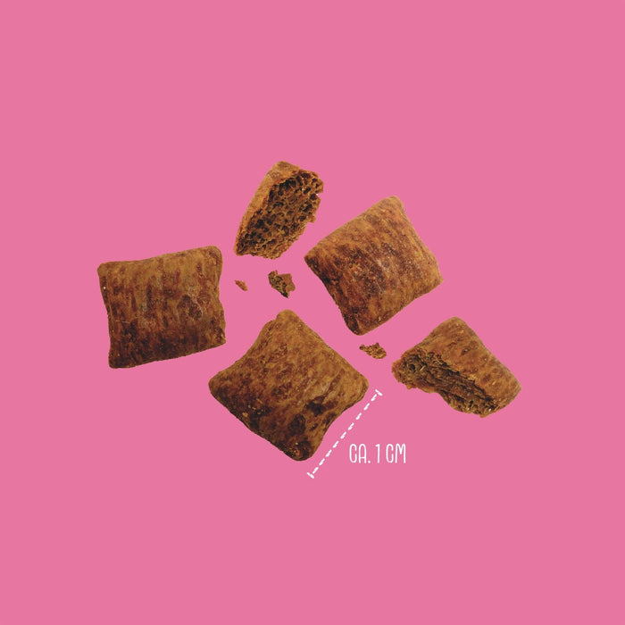 Vegdog Brainy Bites Puppy Dog Treats