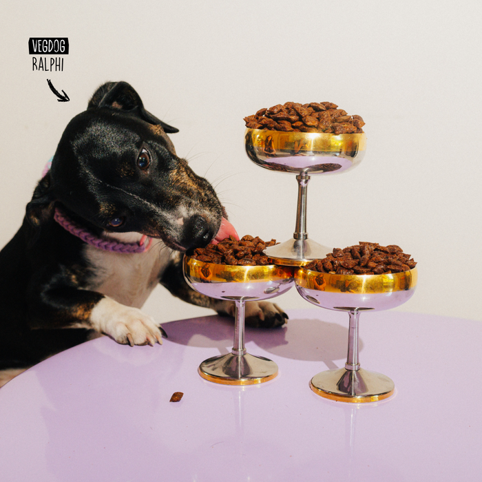 Vegdog Mini Pure Bites Dog Treats