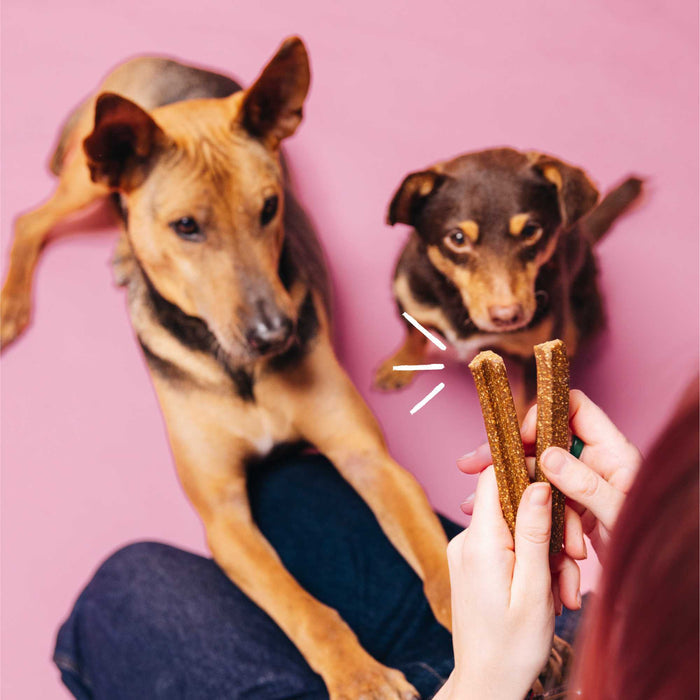 Vegdog Mobilities Dental Dog Chew