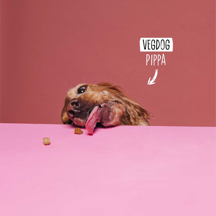 Vegdog Mobilities Minis  Dog Treats