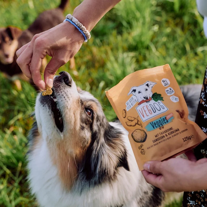 Vegdog  Veggie Immune Dog Treats