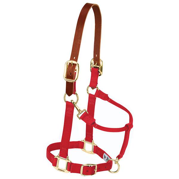 Weaver Leather Breakaway Original Adjustable Chin And Throat Snap Halter 3/4"