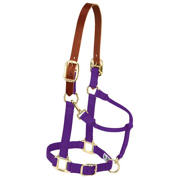 Weaver Leather Breakaway Original Adjustable Chin And Throat Snap Halter