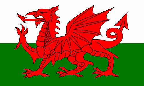 Welsh Polyester Fabric Flag 5ft x 3ft