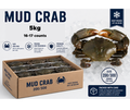 Whole Mud Crab 200/300 IQF 5kg